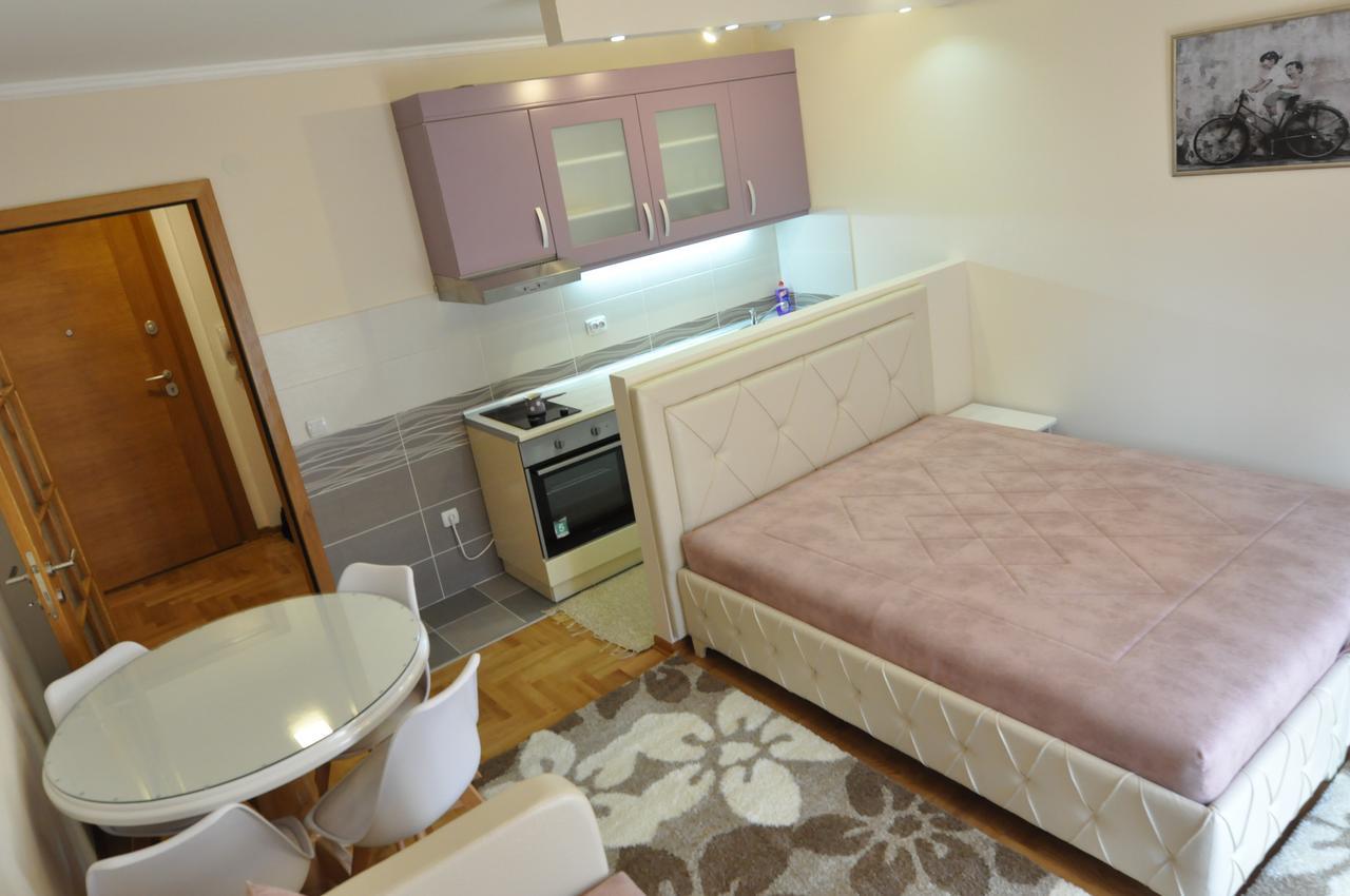 Alex 2 Apartman Vrnjačka Banja Rom bilde