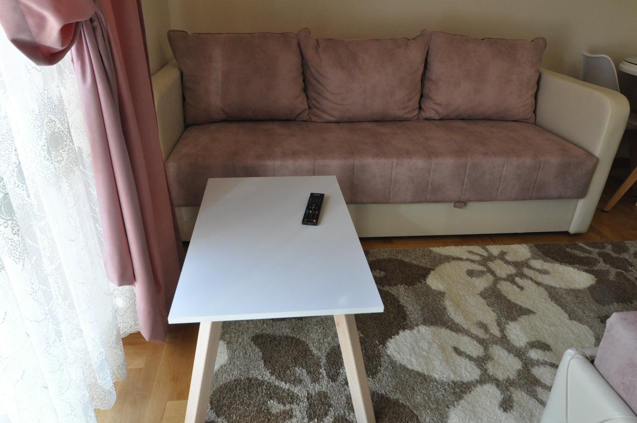 Alex 2 Apartman Vrnjačka Banja Rom bilde