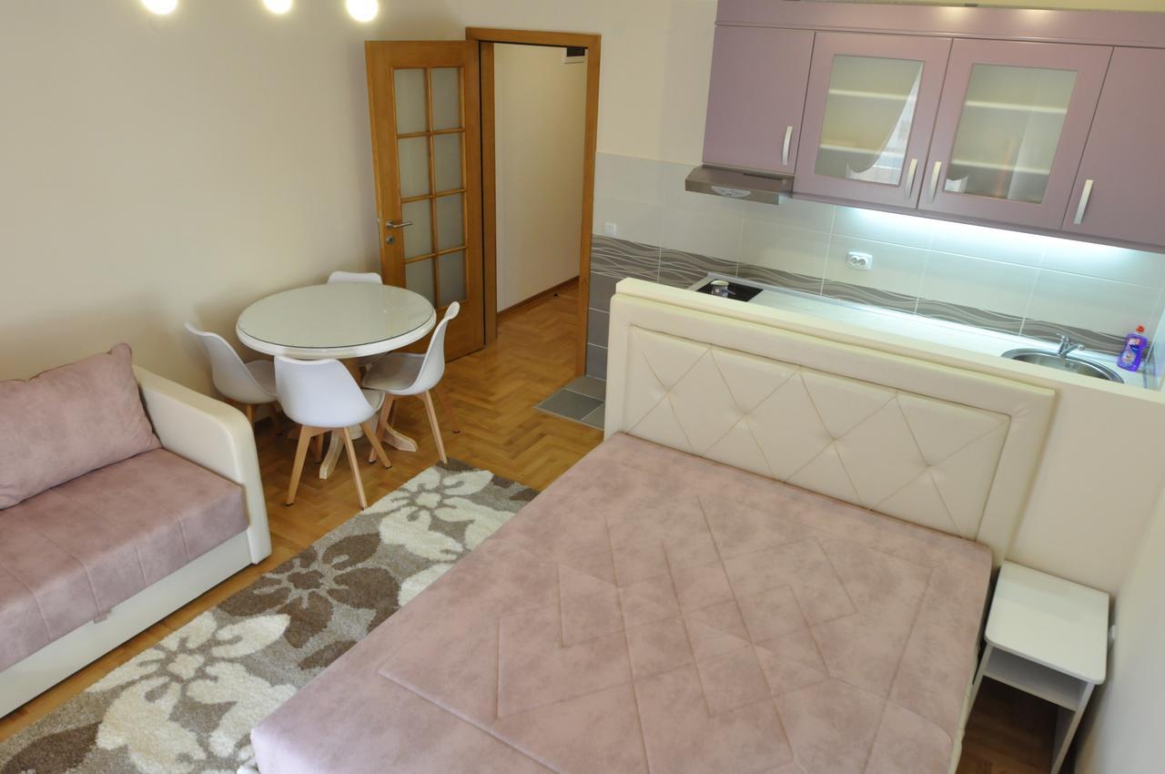 Alex 2 Apartman Vrnjačka Banja Rom bilde
