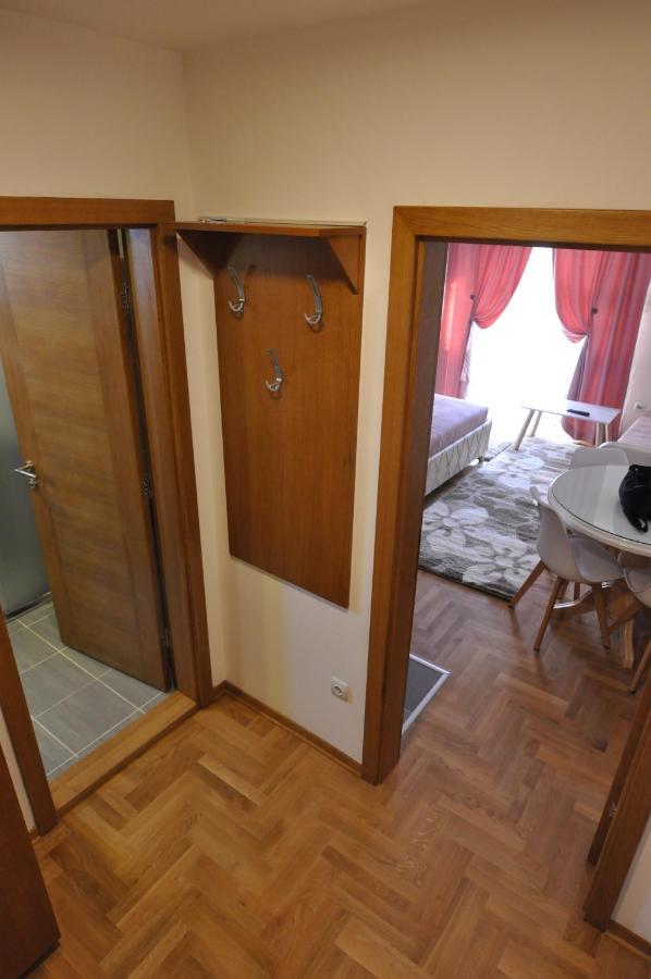 Alex 2 Apartman Vrnjačka Banja Rom bilde