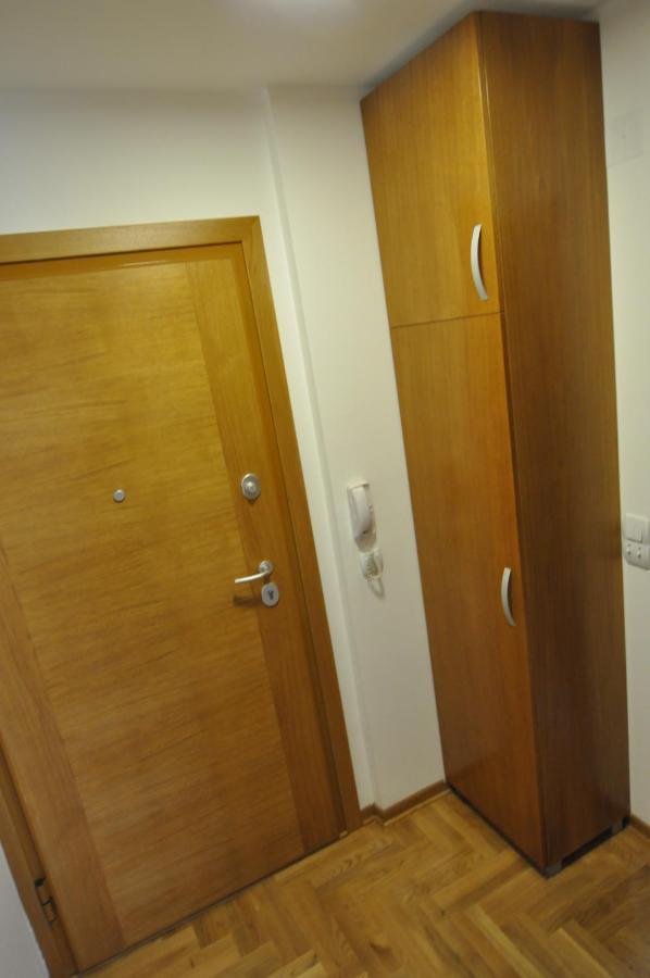 Alex 2 Apartman Vrnjačka Banja Rom bilde